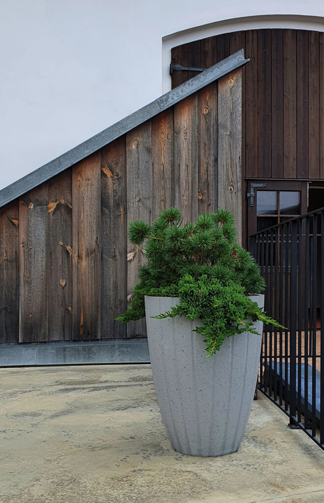 DECOR_L_grey