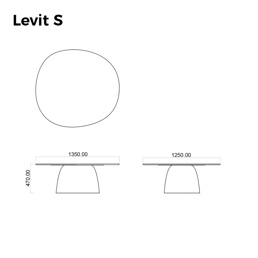 Levit S