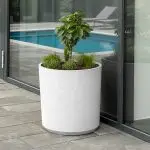 simple M white